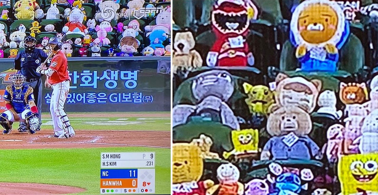 Korean Baseball Team Fills Empty Stands With Stuffed Animals