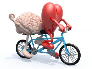 © Fabio Berti / 123RF.com - brain and heart on a tandem bike