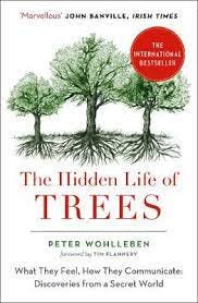 The Hidden Life of Trees by Peter Wohlleben | Waterstones