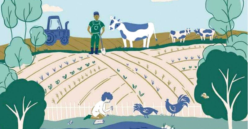 rodale institute organic farming report feature