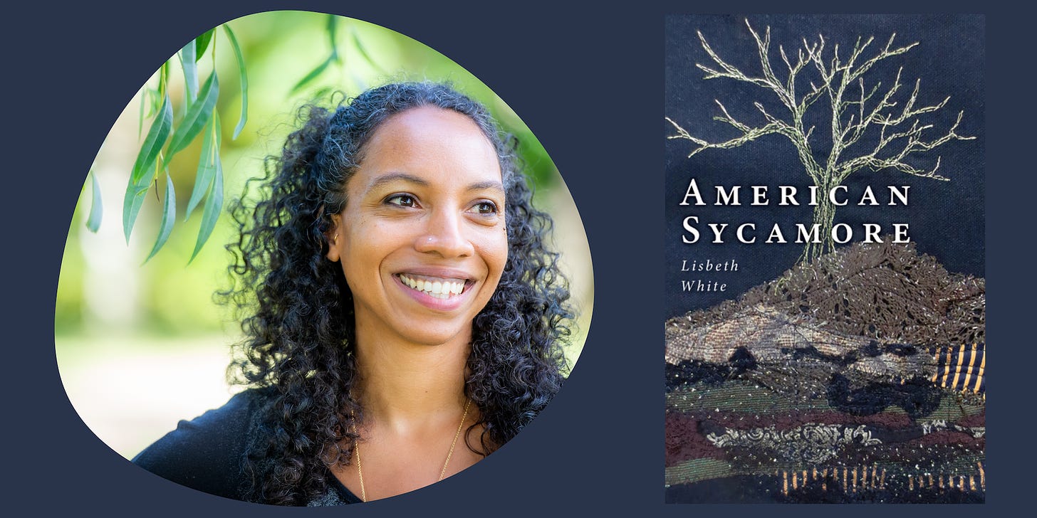 Lisbeth White smiles and looks to the left, green leaves behind her. Also, the book cover for American Sycamore, textile art that features a stitched tree on a dark blue background.