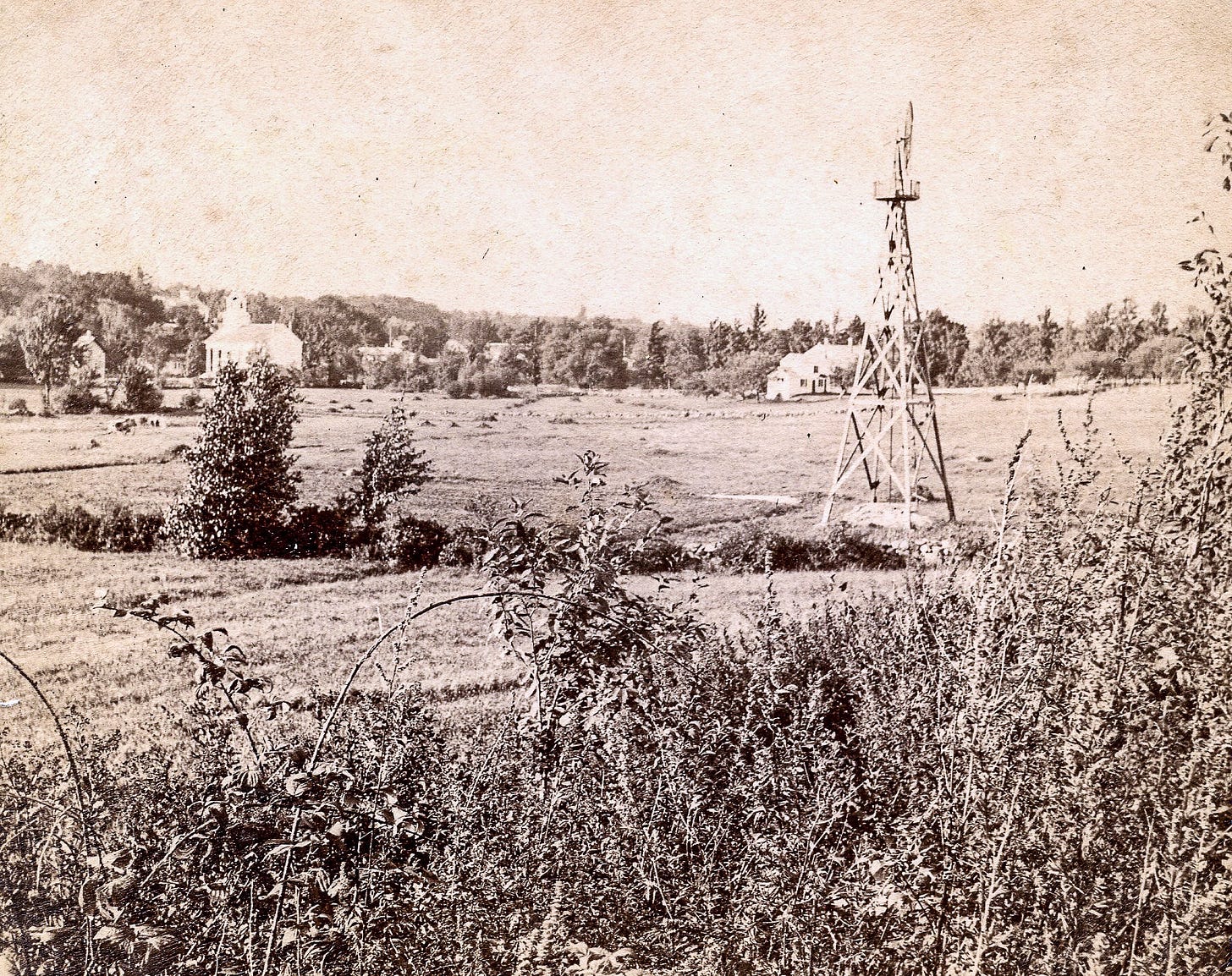 Open field with windmill