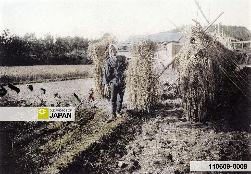 110609-0008 - Japanese Farmer Carrying Harvested Rice