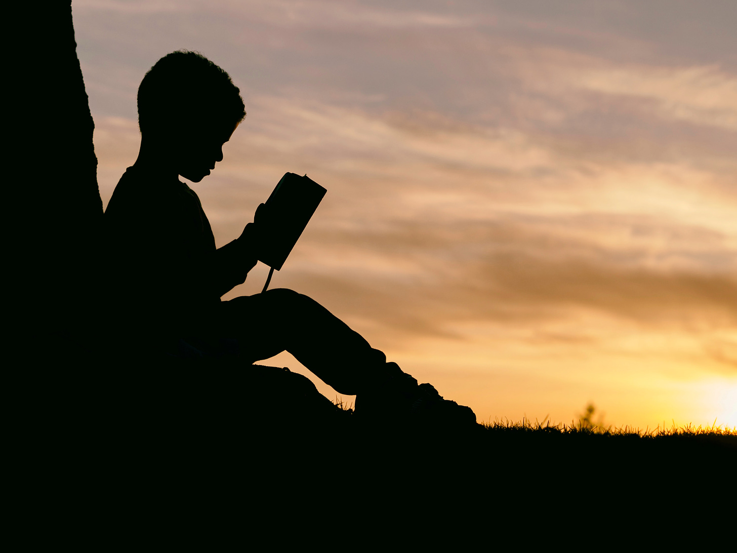 silhouette of child sitting behind tree during sunset photo