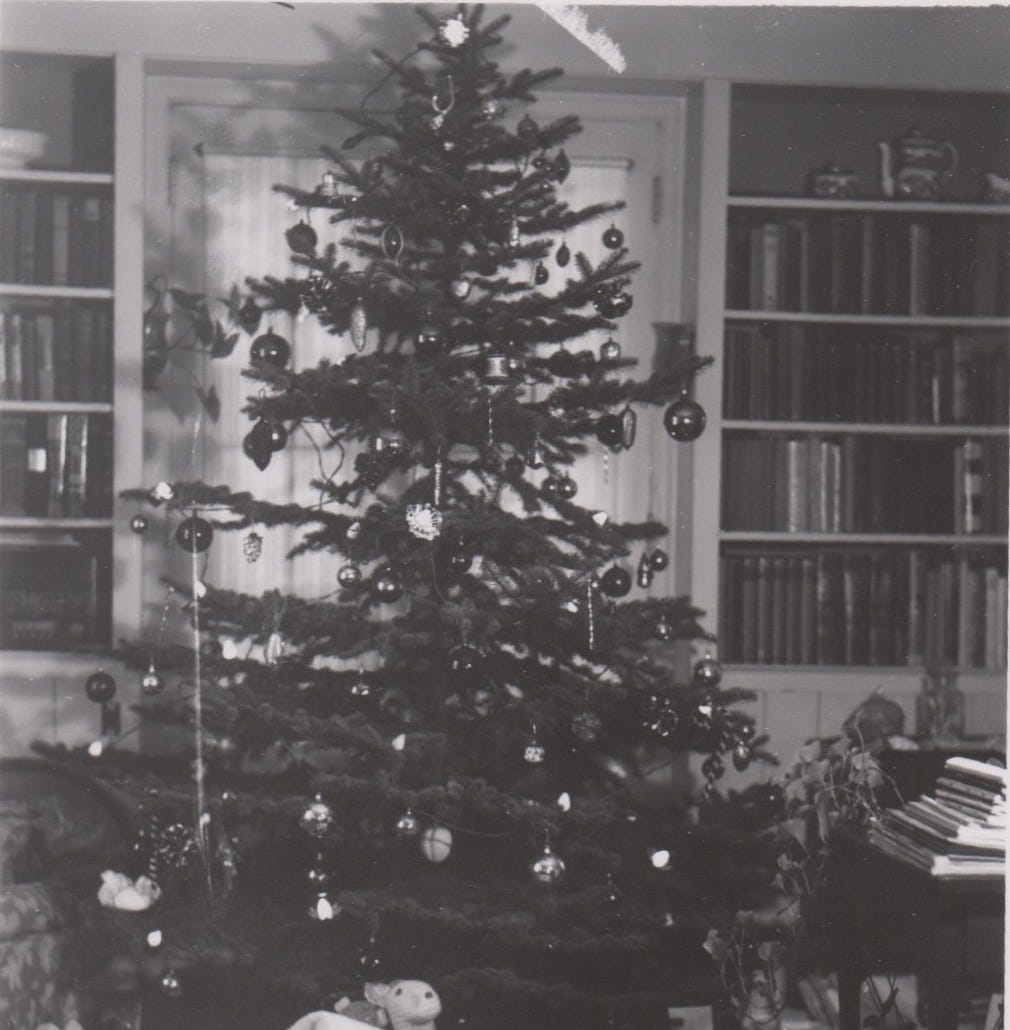 Black and white photo of a Christmas tree, it is tall and wide at the bottom to narrow at the top and has ornaments hanging off most of the branches.