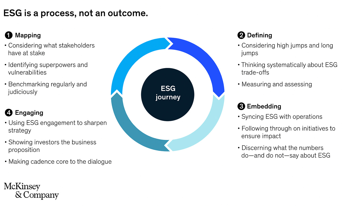 ESG Journey McKinsey