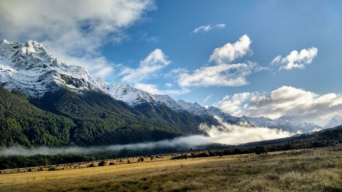 Mist drifts over a golden field and snow-capped mountains loom in the background