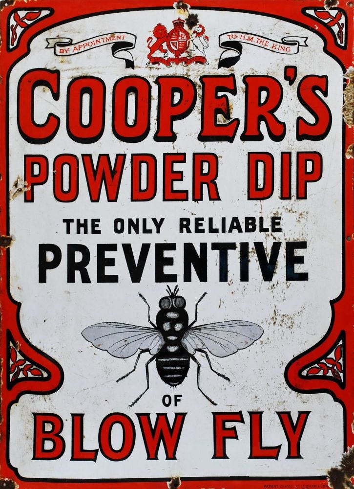 Cooper's Powder Dip. The Only Reliable Preventive Of Blow Fly