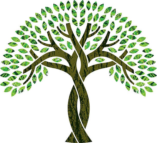 240 Trees Intertwined Illustrations &amp; Clip Art - iStock