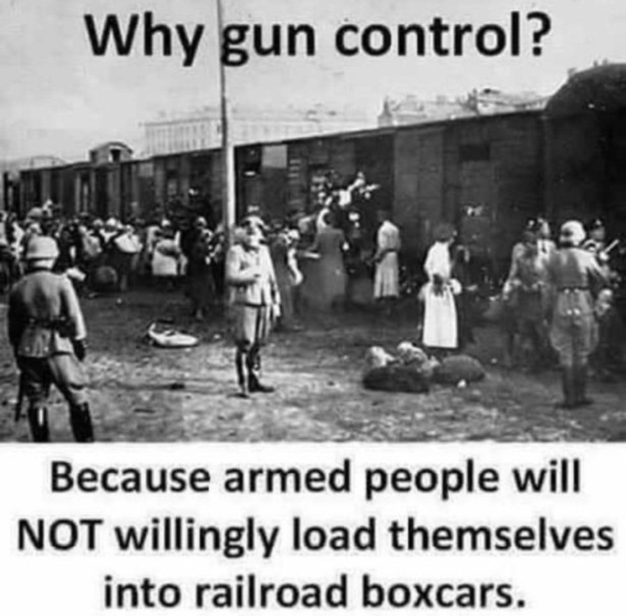 May be an image of 8 people, people standing and text that says 'Why gun control? Because armed people will NOT willingly load themselves into railroad boxcars.'