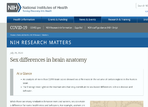 National Institute of Health Doctors say men and women's brains are different