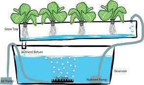 AGRITECTURE — 10 New Trends in Hydroponics: What to Expect in...