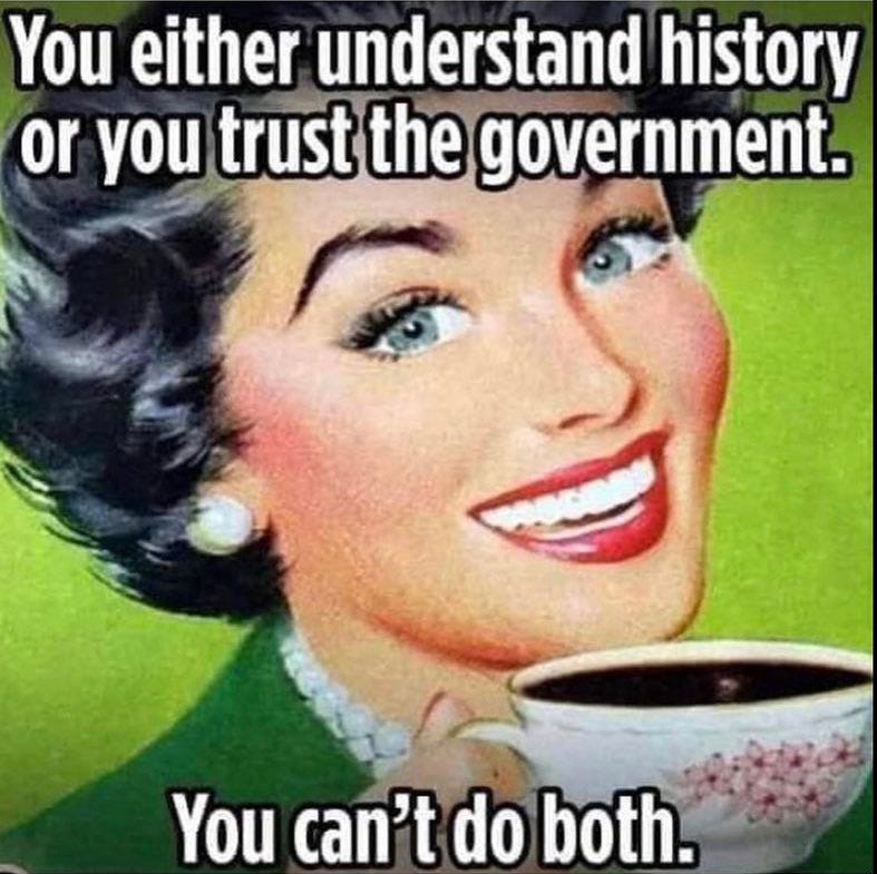 Meme: You Either Understand History or You Trust the Government: You Can't Do Both.