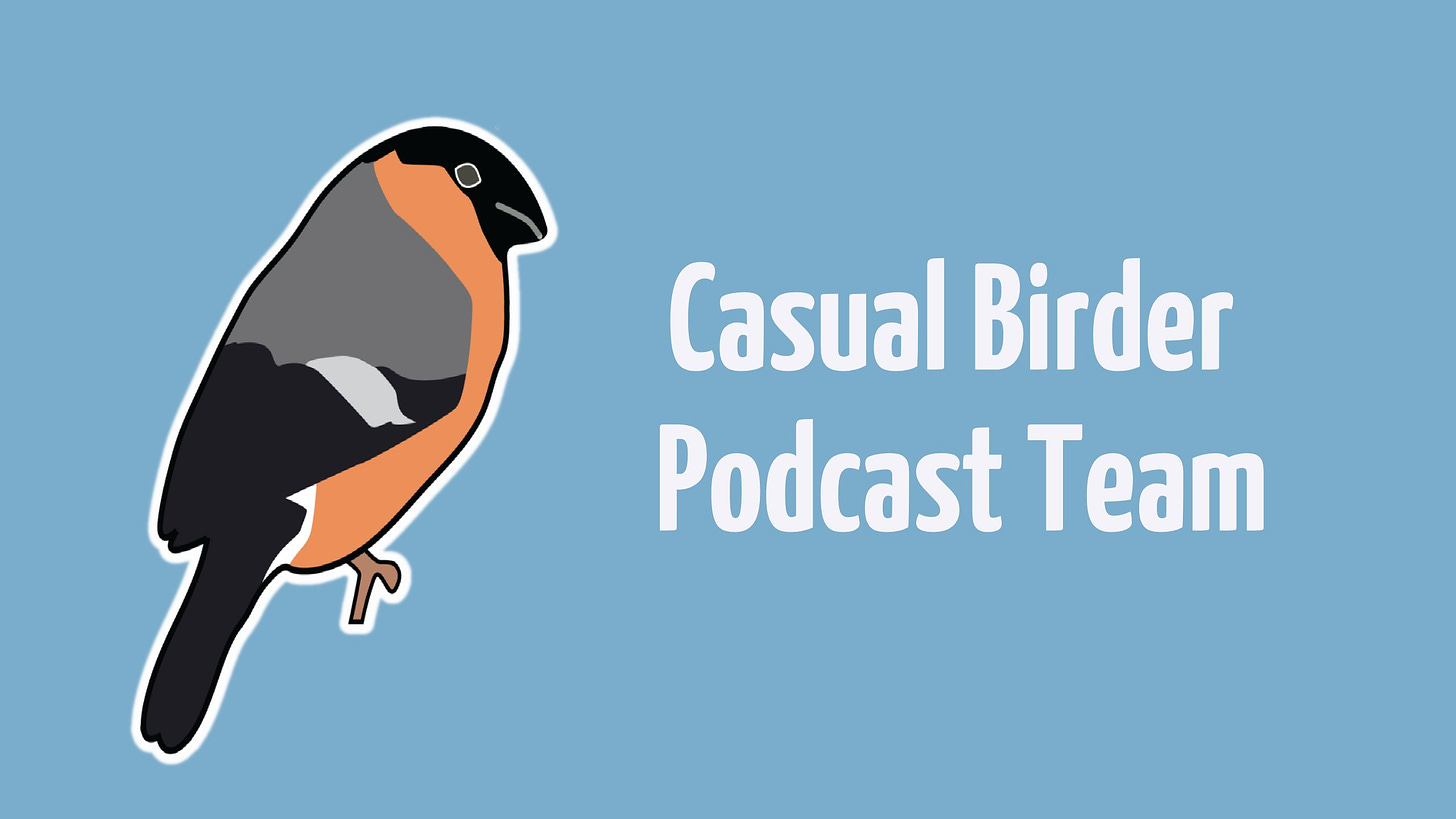  Graphic image of a Bullfinch on the left and the following text in white on the right: Casual Birder Podcast Team