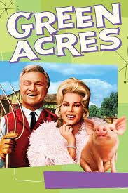 Green Acres (TV Series 1965–1971) - IMDb