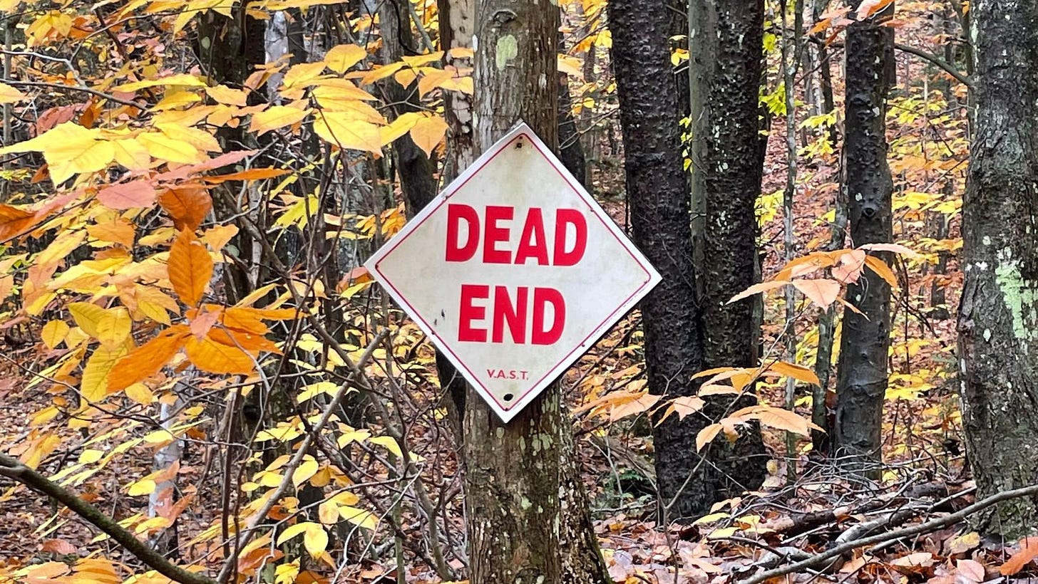 A white diamond shaped sign with large red lettering reading DEAD END. The sign is affixed to a tree and all around are golden autumn leaves.