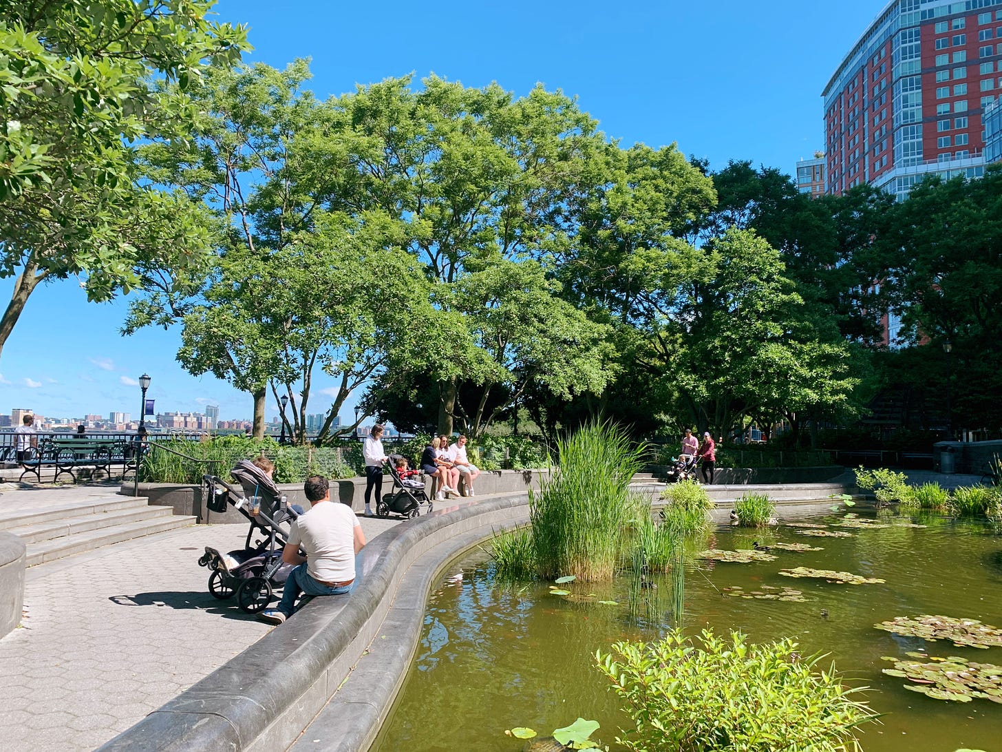 Lily Pond inside Rockefeller Park
