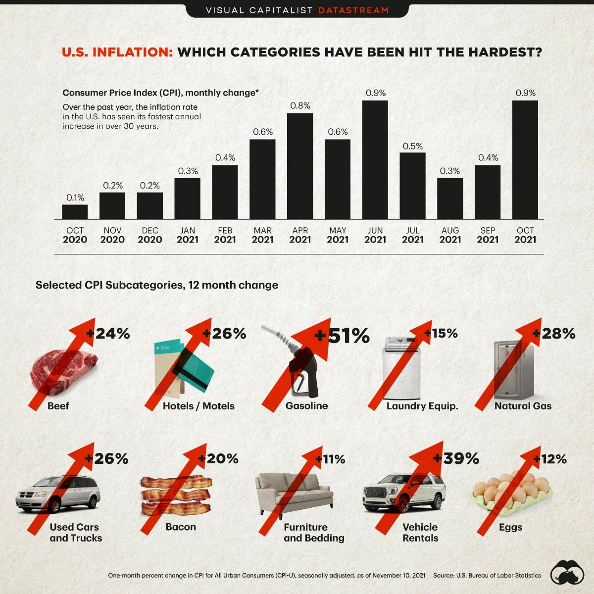 Visual Capitalist categories that have been impacted the harder by inflation in the US infographic