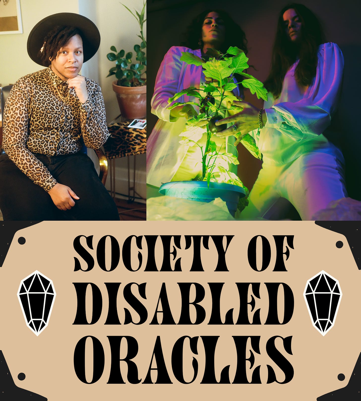 Cyree Jarelle Johnson, a black trans person in a leopard print shirt and a black hat sits in a blue rolling chair with his chin resting on his fist. Nocturnal Medicine’s image shows two people kneeling next to a brightly lit plant, touching its leaves and black bulbous prosthetics that are attached to its stems. They are dressed in white that catches a purple glow at their shoulders, under medium-length brown hair, and green at their waists. they have calm expressions, looking down past the plant at the camera. The logo of the Society of Disabled Oracles is a plate that might adorn the outside of a building. The all-caps words are in a fancy, curvaceous font flanked by drawings of two angular stones.