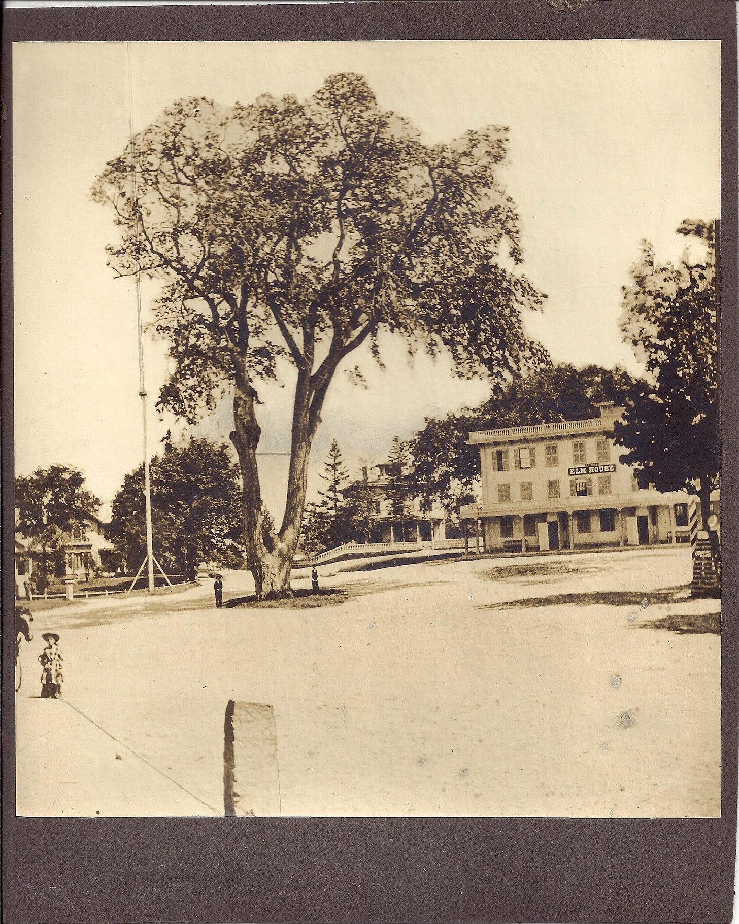 sepia toned photograph of double-trunked elm tree in the middle of an unpaved square. Elm House hotel in background. Child in broad-brimmed hat with horse at left.