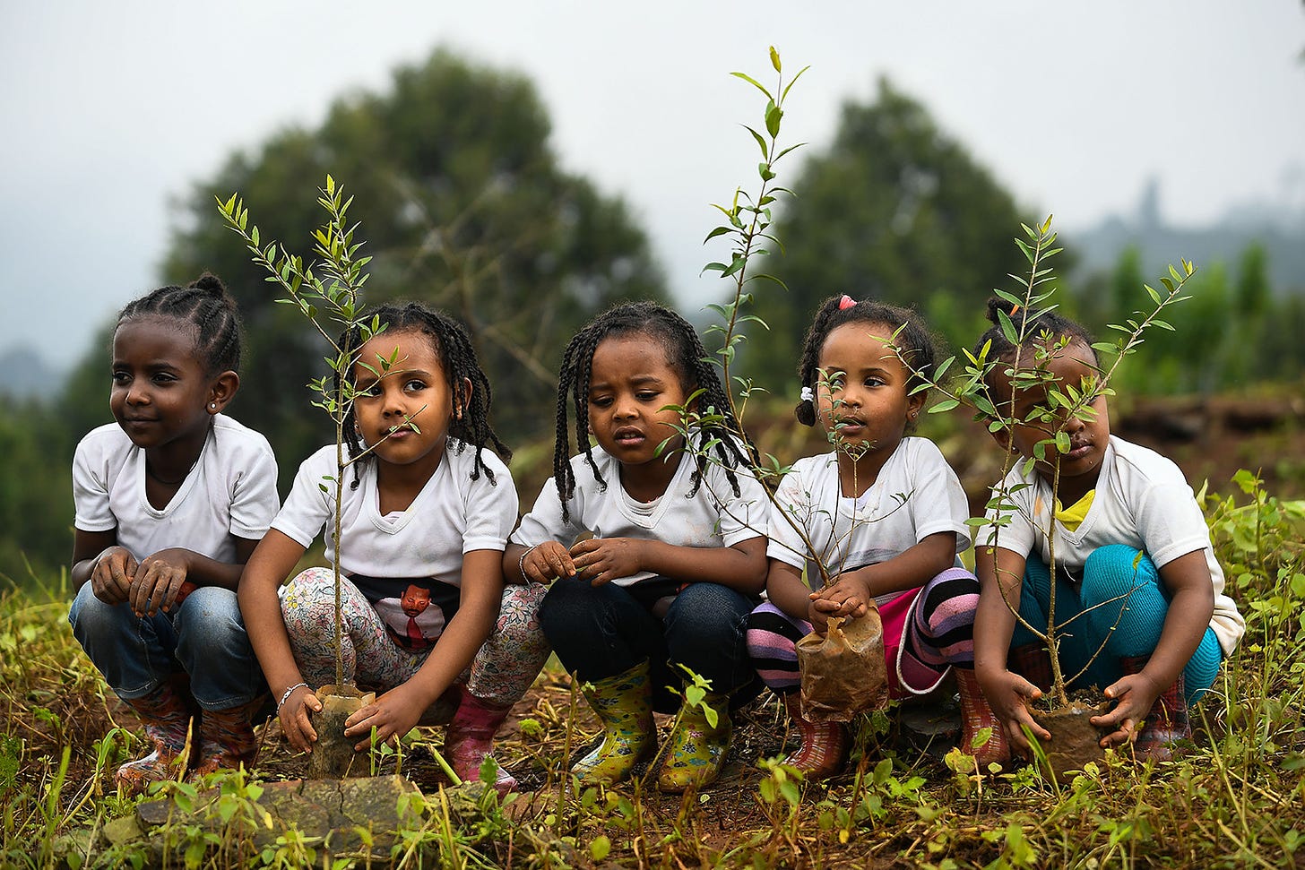 Ethiopian girls take part in a national tree-planting drive in the capital Addis Ababa on July 28. Ethiopia says it plans to plant 4 billion trees by October as part of a global movement to restore forests and help fight climate change. MICHAEL TEWELDE/AFP/Getty Images