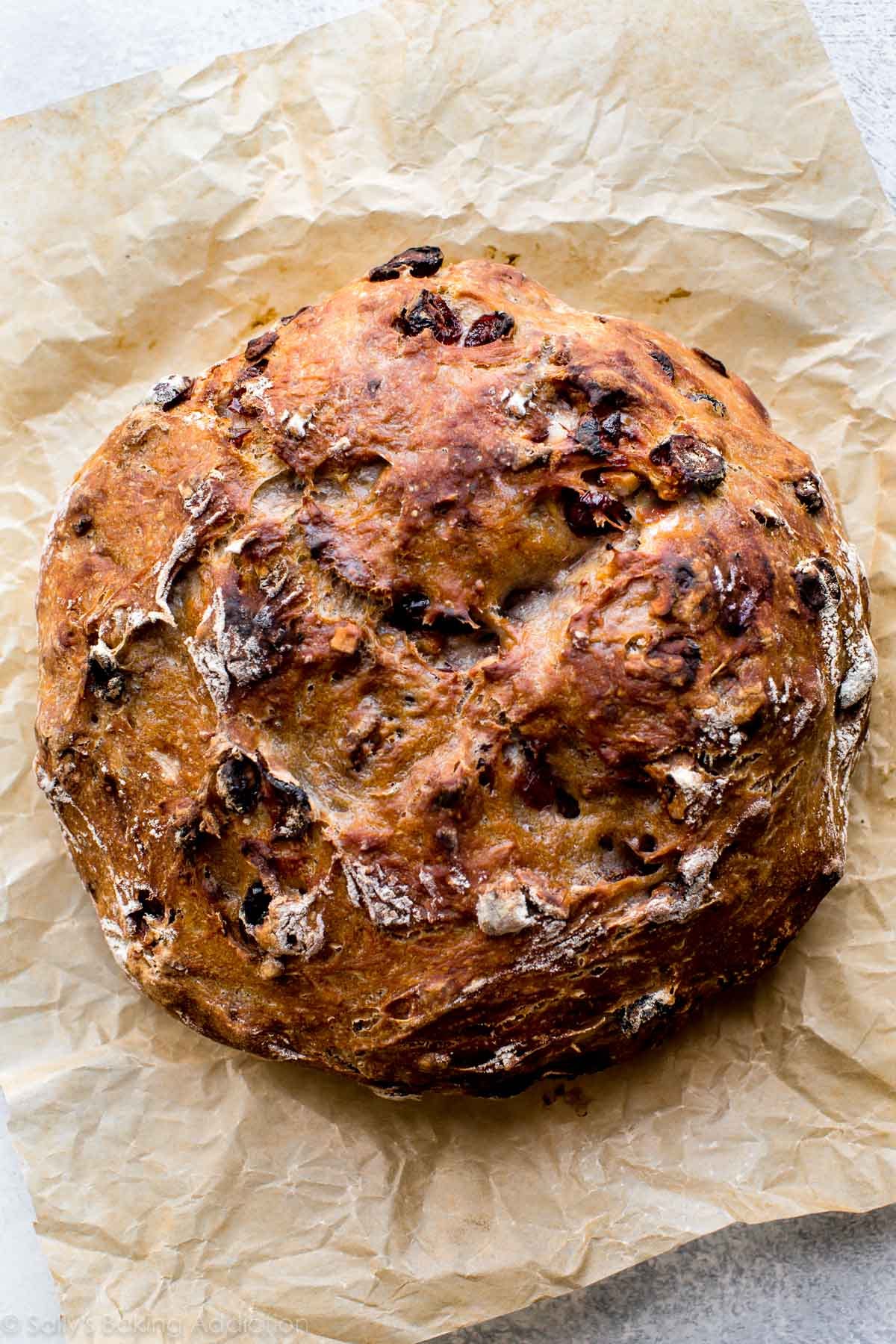 No-knead super crusty, soft, and EASY bread made in the dutch oven! Filled with dried cranberries and walnuts, the bread is delicious! Recipe on sallysbakingaddiction.com
