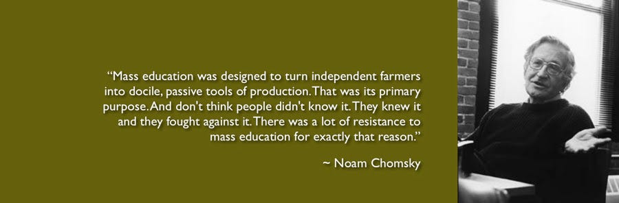 http://schoolingtheworld.org/wp-content/uploads/2011/12/chomskypic.jpg