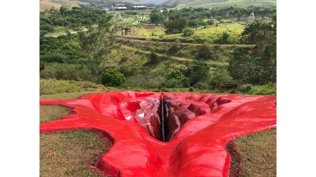 03 vagina sculpture brazil scli intl