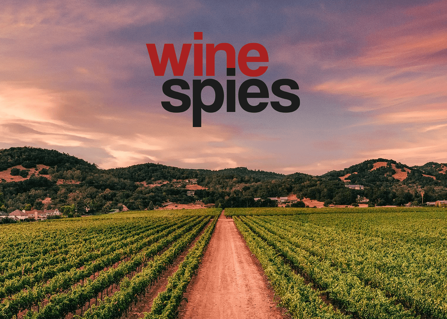 Q&amp;A with Agent Rhone (Wine Spies) | Wine Bounty
