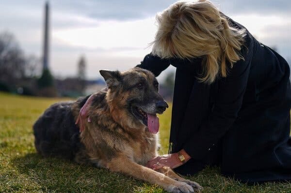 The first lady, Jill Biden, with Champ outside the White House. He died on Saturday at 13.
