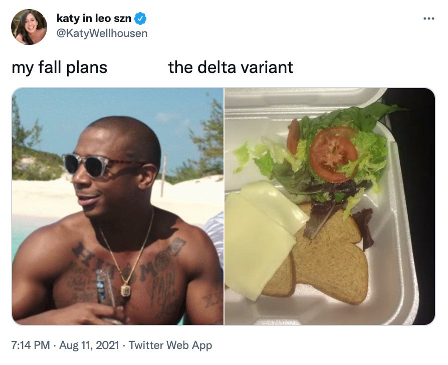 My fall plans versus the delta variant