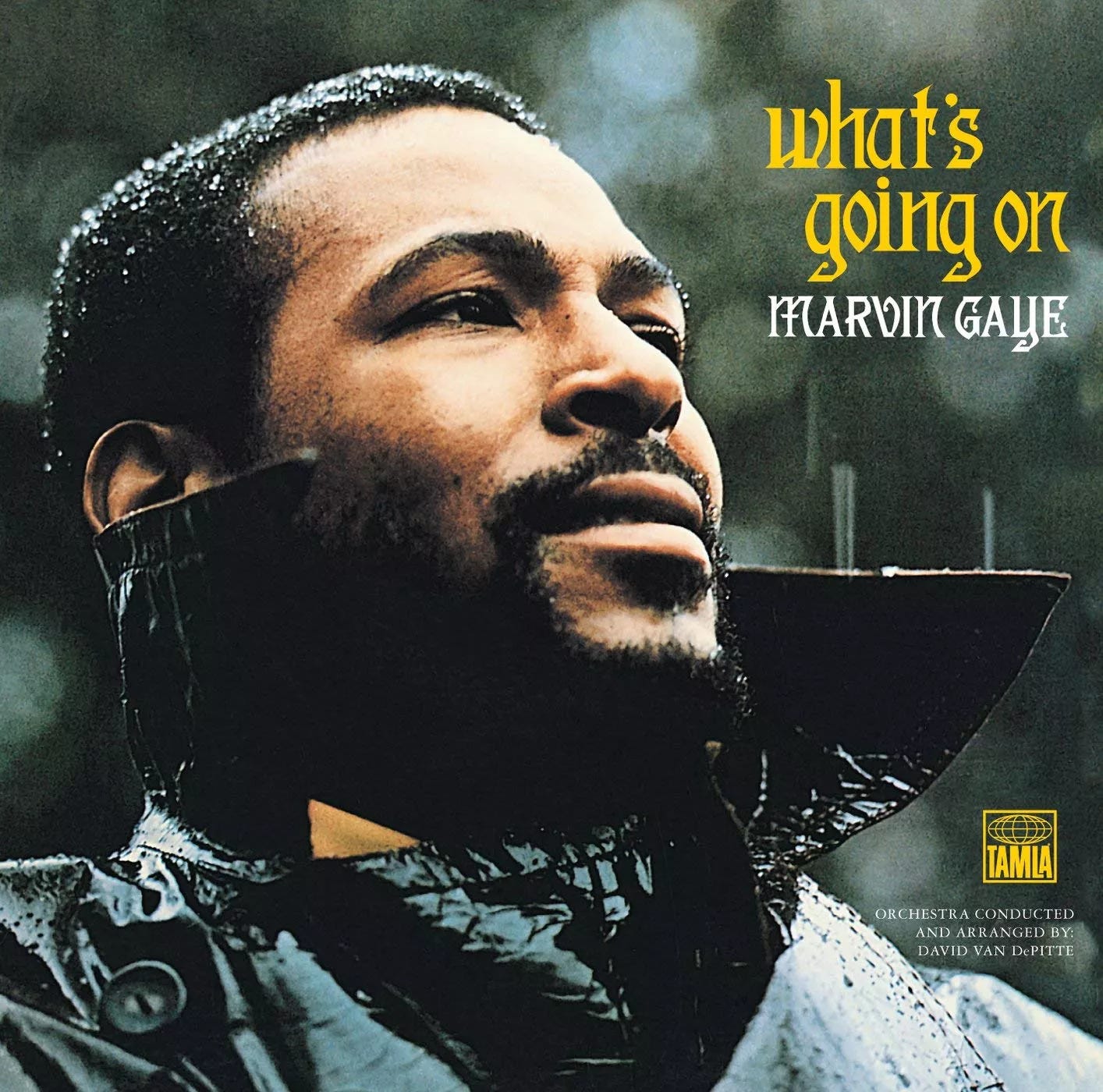 This image shows the cover of Marvin Gaye's 1971 album What's Going On. Gaye, wearing a leather jacket with its collar turned up, stares to the right at something we cannot see. This image shows the cover of Marvin Gaye's 1971 album What's Going On. Gaye, wearing a leather jacket with its collar turned up, stares to the right at something we cannot see.