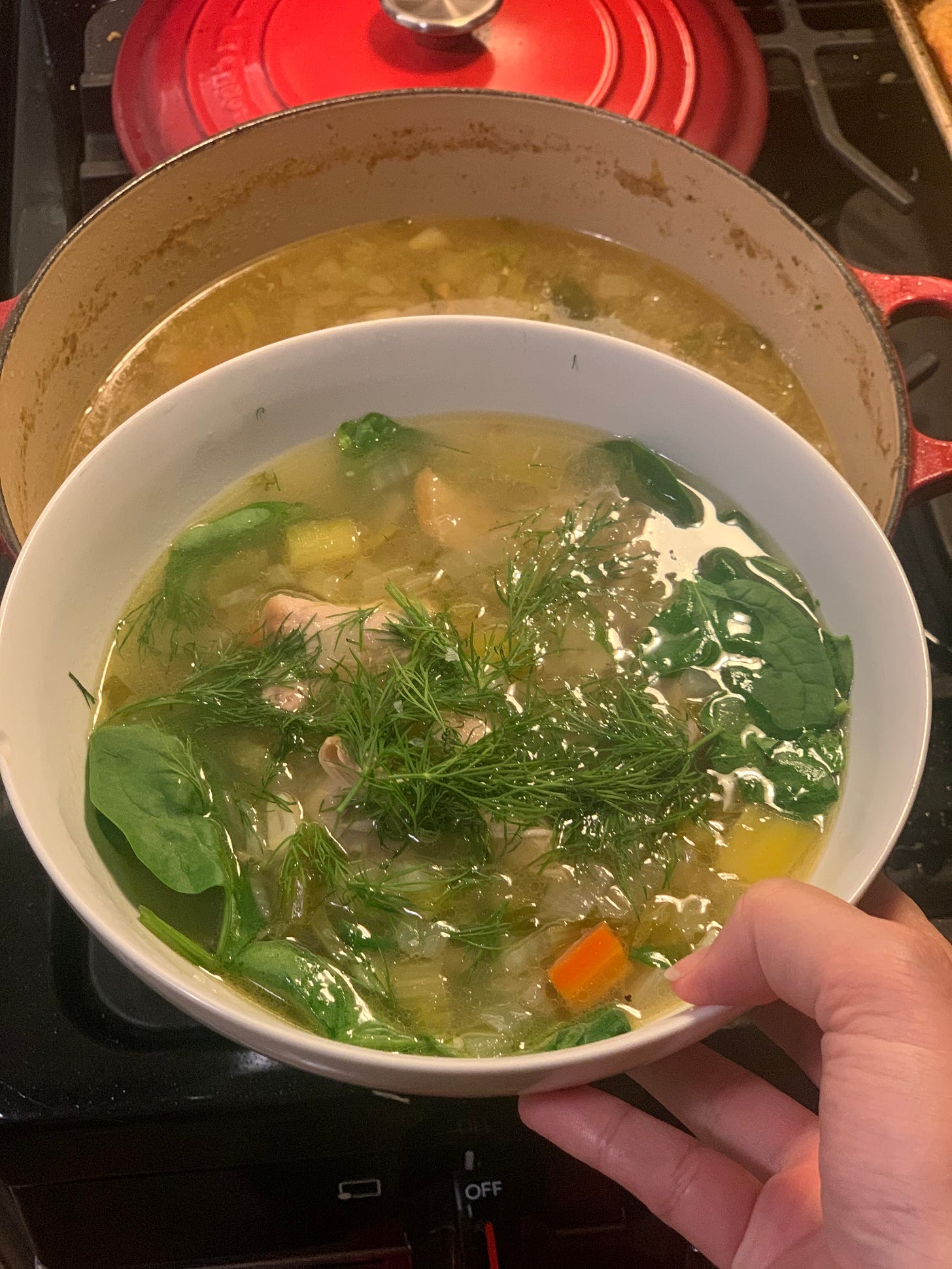 disembodied hand holding a bowl of chicken and garlic soup w spinach