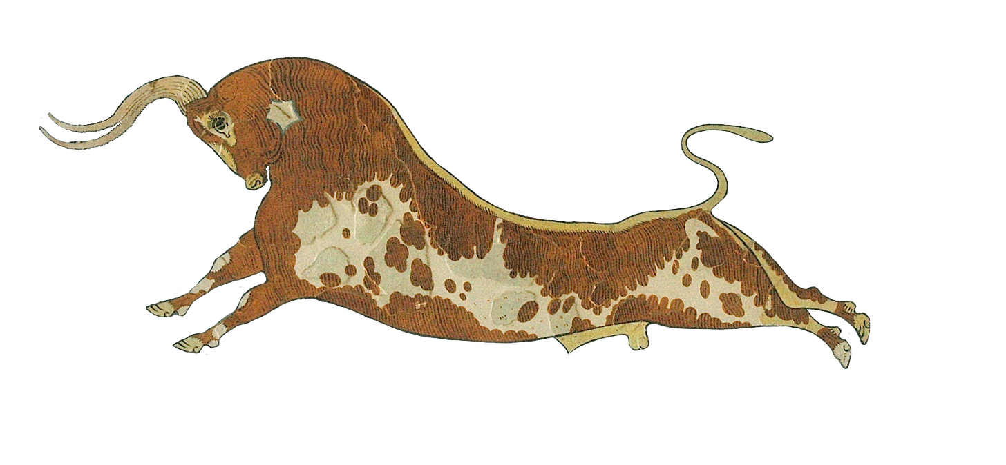 File:Aurochs-animal.png - Wikimedia Commons