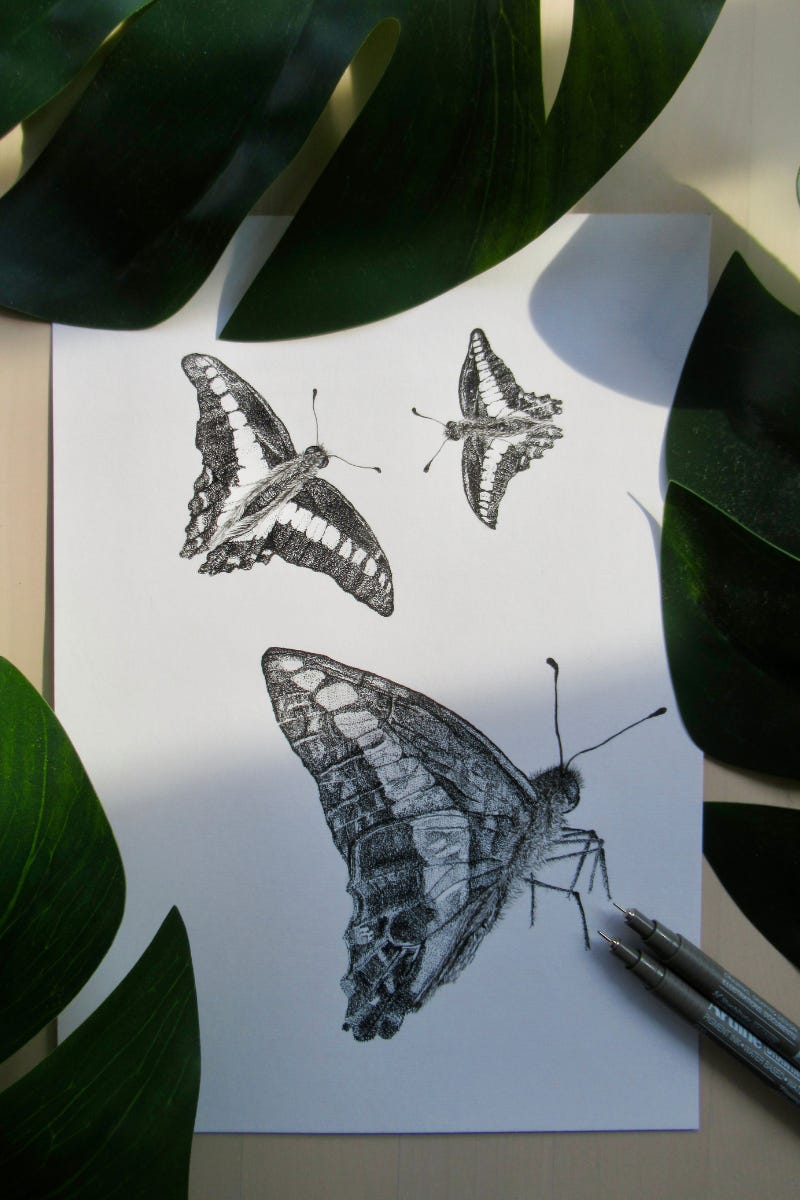 Stipple art drawing of three butterflies flying, using only black fine liner pen.