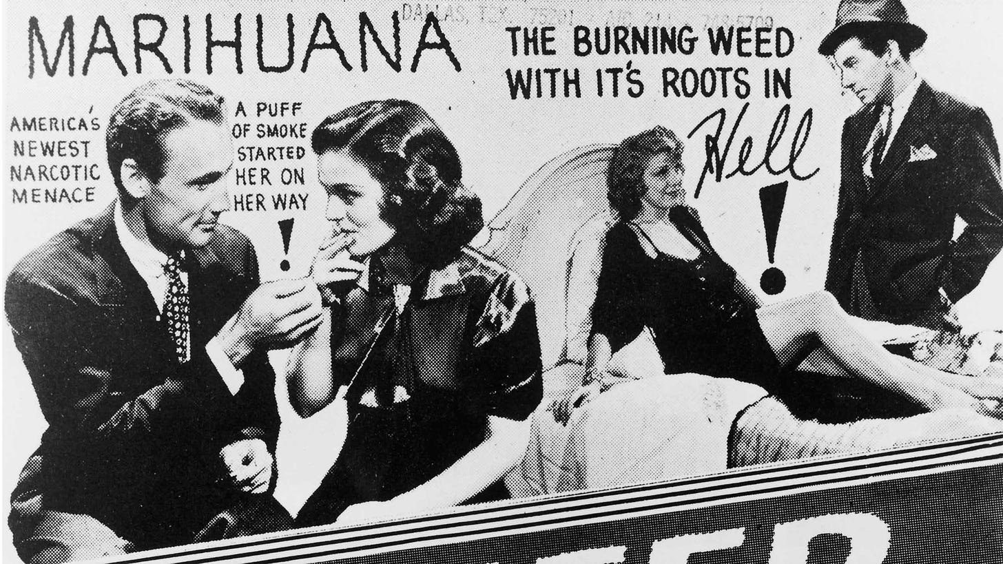 Reefer Madness 2.0: What Marijuana Science Says, and Doesn't Say