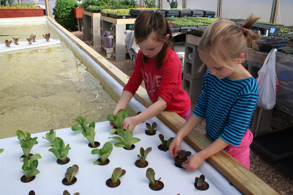 Aquaponic Raft Beds - 33