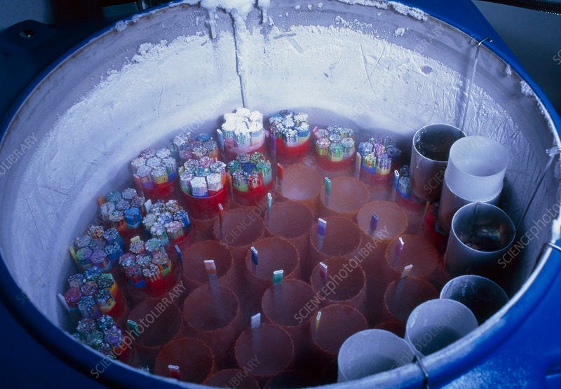 Cryogenically stored sperm in liquid nitrogen - Stock Image - M802 ...