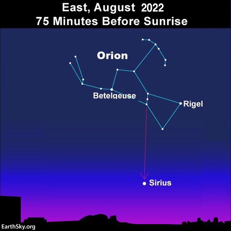 Return of Sirius: Morning sky in August with Sirius and Orion above.