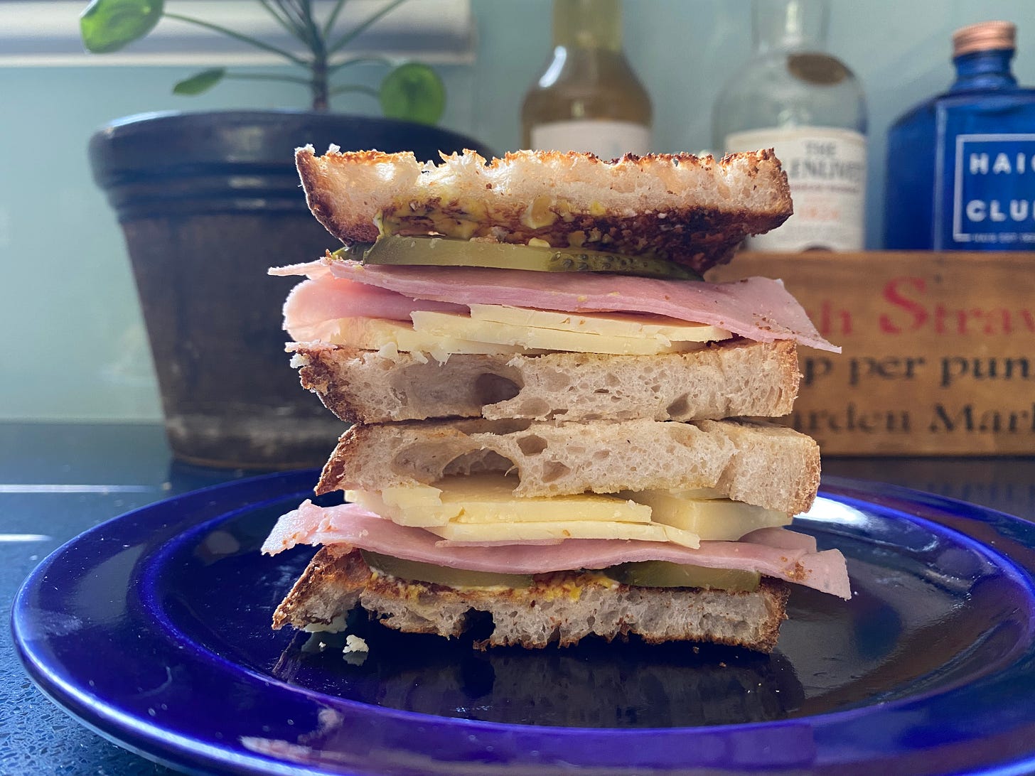 Cut-side of a sandwich showing layers of toasted bread, cheese, ham, gherkins and a hint of yellow mustard. Sandwich is served on a cobalt blue plate, a few drinks bottles and a potted jade plant are in the background
