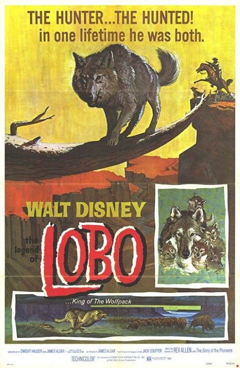 Theatrical release poster for Walt Disney's The Legend Of Lobo