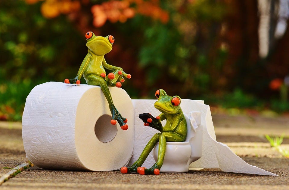 Frog, Toilet, Loo, Meeting, Fun, Toilet Paper, Wc, Cute