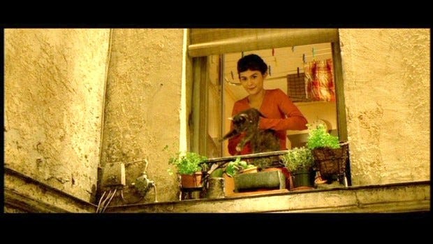 A still from Amelie showing Amelie and her cat at the window, with her windowsill herbs