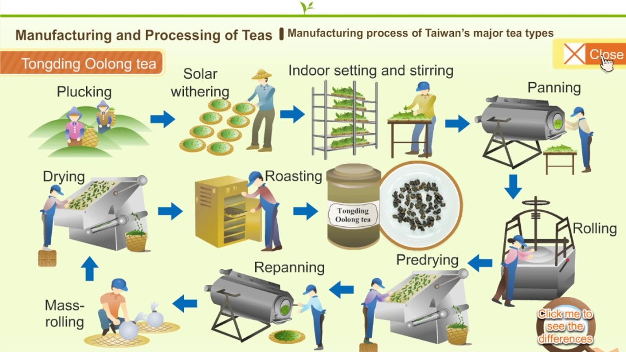 4-3Manufacturing process of Taiwan&#39;s major tea types - YouTube