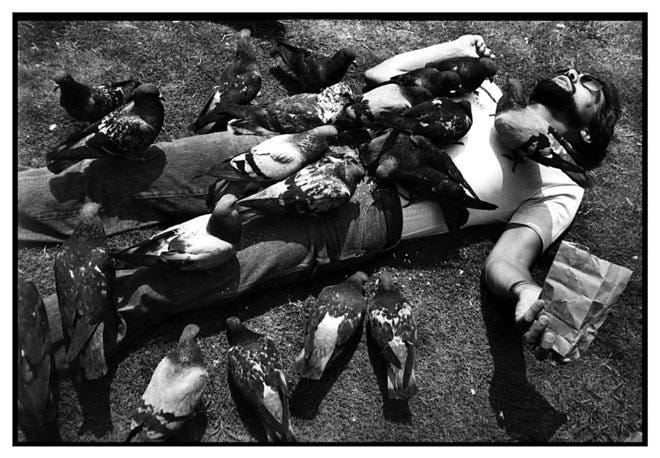 3-Pigeon-Man,-1980