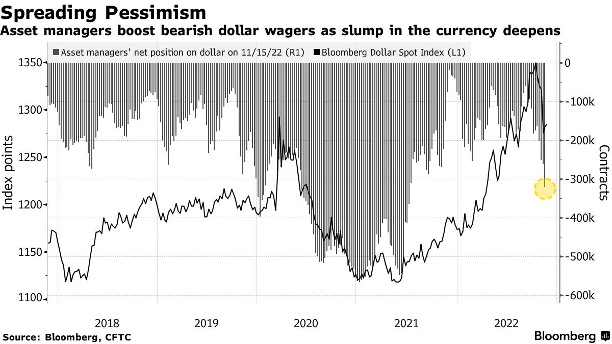 Asset managers boost bearish dollar wagers as slump in the currency deepens