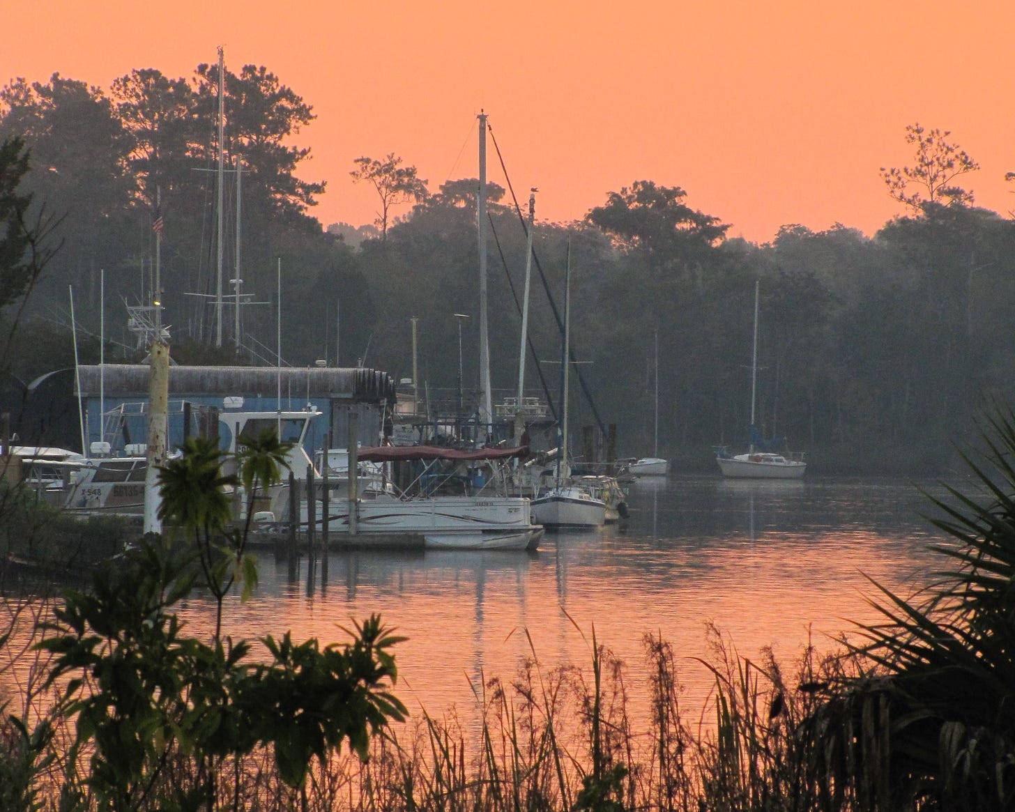 A marina at dawn in orange light. All sorts of boats are moored together and surrounded by trees.