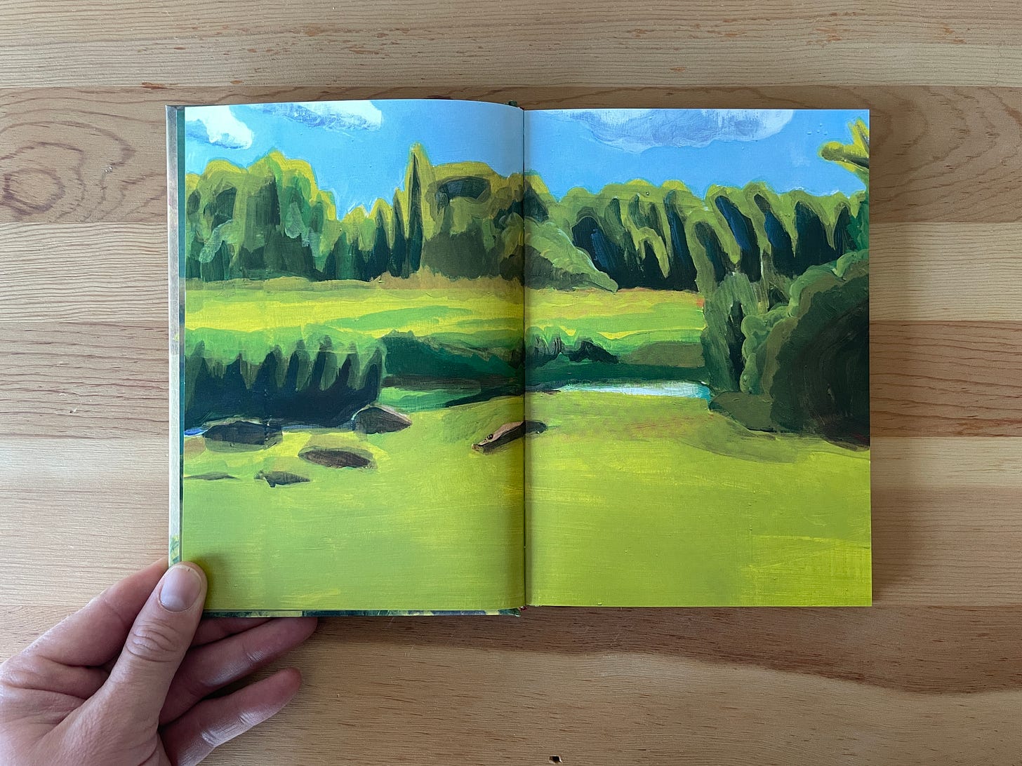 A book laid open to a painting of a stream.