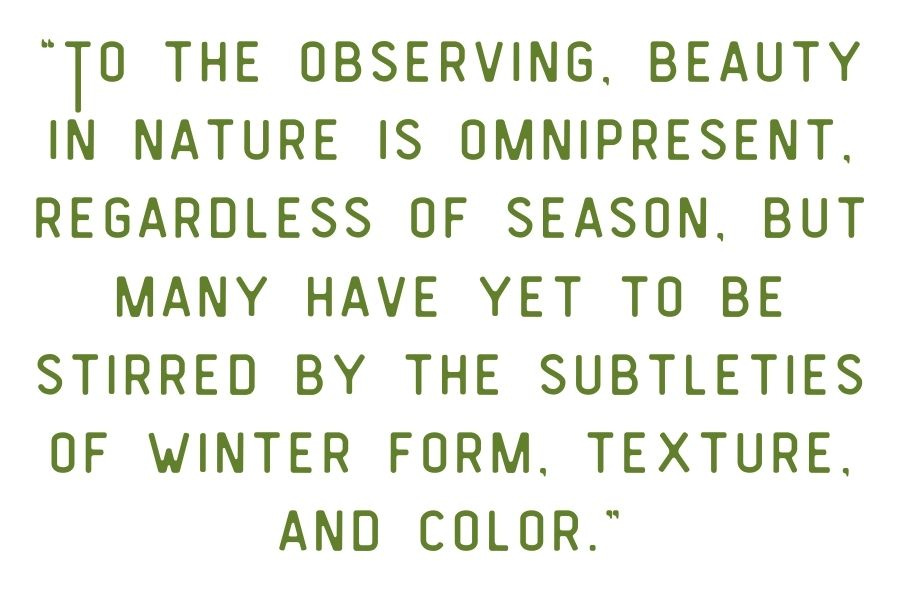 “To the observing, beauty in nature is omnipresent, regardless of season, but many have yet to be stirred by the subtleties of winter form, texture, and color.”