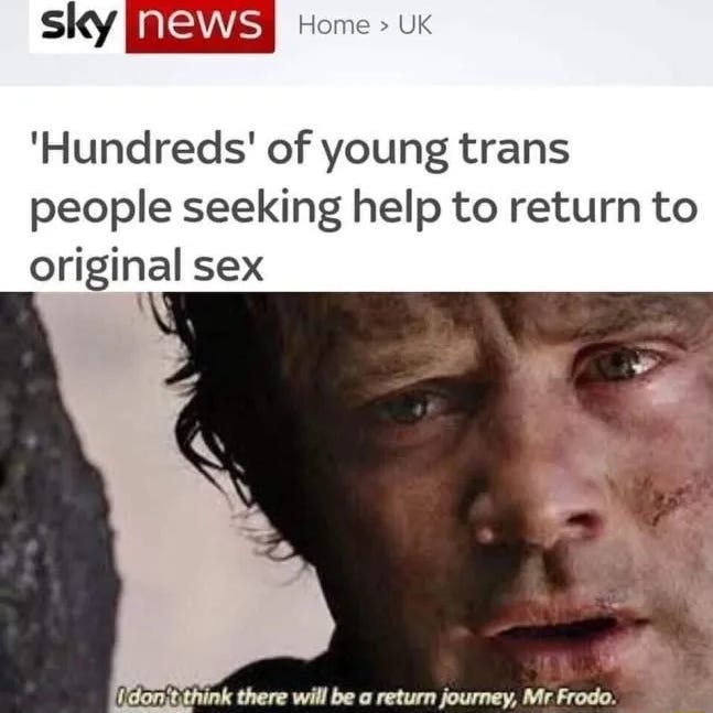 Meme Sky news article- "Hundreds of young people wish to return to their original sex."  Sam saying "I dont think there will be a return journey Mr Frodo"